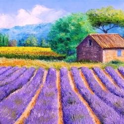 Прованс, лаванда, шебби